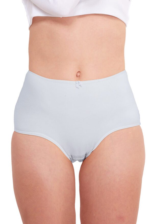 panty-clasico-confort-algodon-pima-pbcp6-oscar-hackman