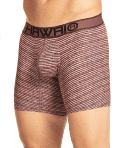 boxer-medio-estampado-microfibra-hawai-41955