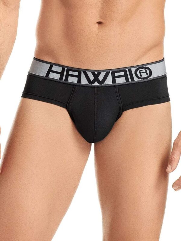 boxer-hip-brief-microfibra-hawai-41963