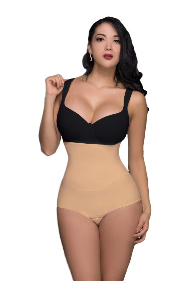 Faja Panty Cinturilla Alta Microfibra Control Medio PF170502 Magnolia