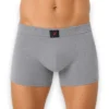 boxer-medio-caballero-153-c-trueno