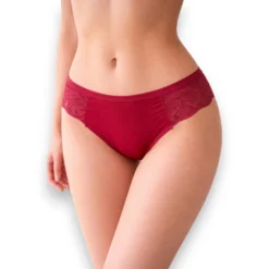 panty-bikini-microfibra-encaje-sexy-al-costado-brasjade-6096