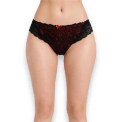 panty-frances-pierna-alta-encaje-sensual-sexy-bras-jade-6150