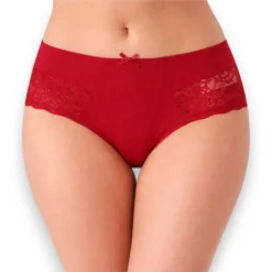 panty-bikini-microfibra-encaje-sensual-sexy-bras-jade-877